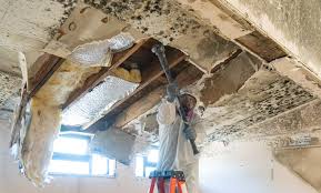 Best Commercial Mold Inspection  in Addis, LA